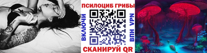 маркетплейс Telegram  Назарово  ссылка на мегу рабочий сайт  Псилоцибиновые грибы ЛСД  купить наркоту 