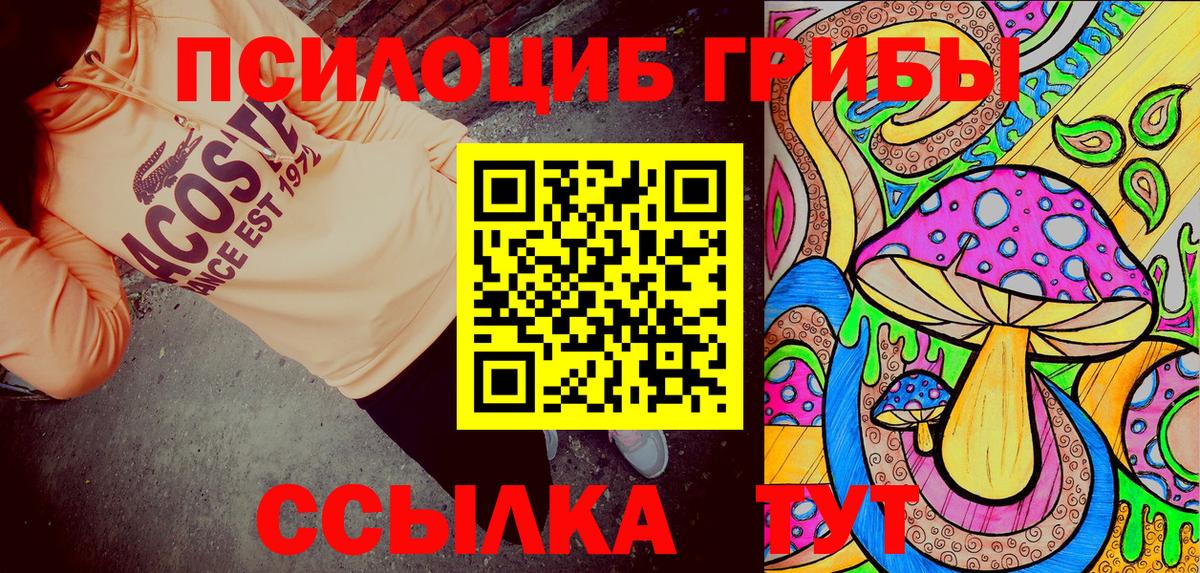 купить закладку  Назарово  Галлюциногенные грибы GOLDEN TEACHER 