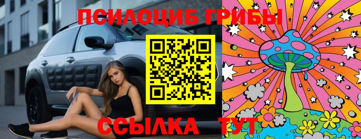 Псилоцибиновые грибы Cubensis Назарово