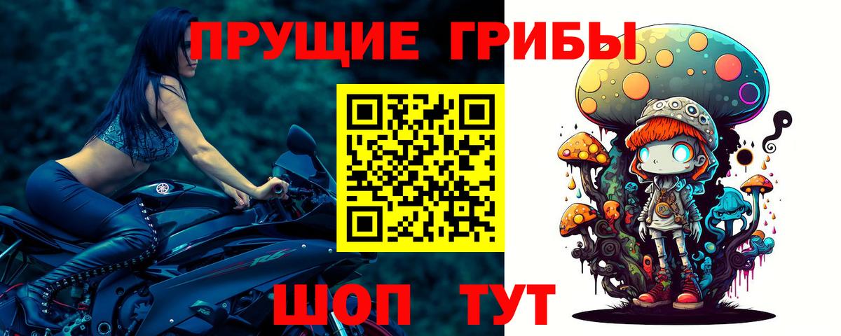 Псилоцибиновые грибы Psilocybine cubensis Назарово