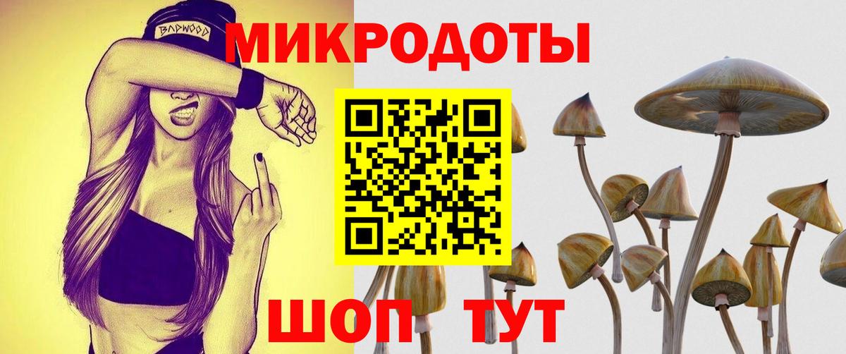 Галлюциногенные грибы Psilocybe  Вход с VPN  Назарово  Галлюциногенные грибы GOLDEN TEACHER 